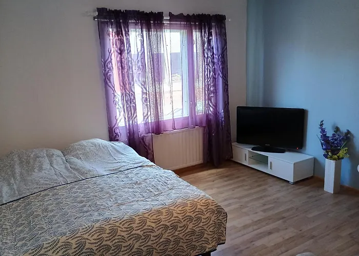 Rauma City Apartments ראומה